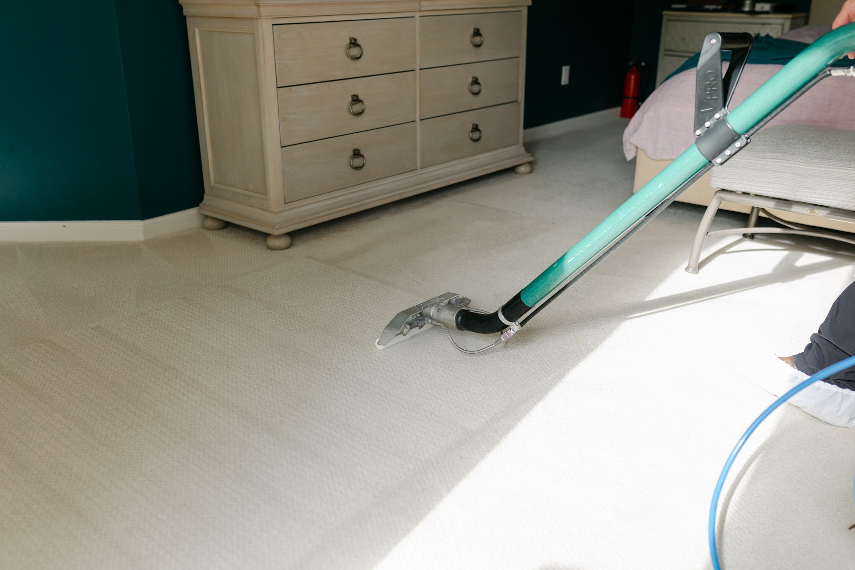 Steam Cleaning a Carpet