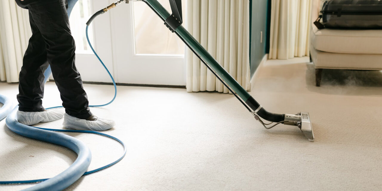 Professional Carpet Cleaning Benefits