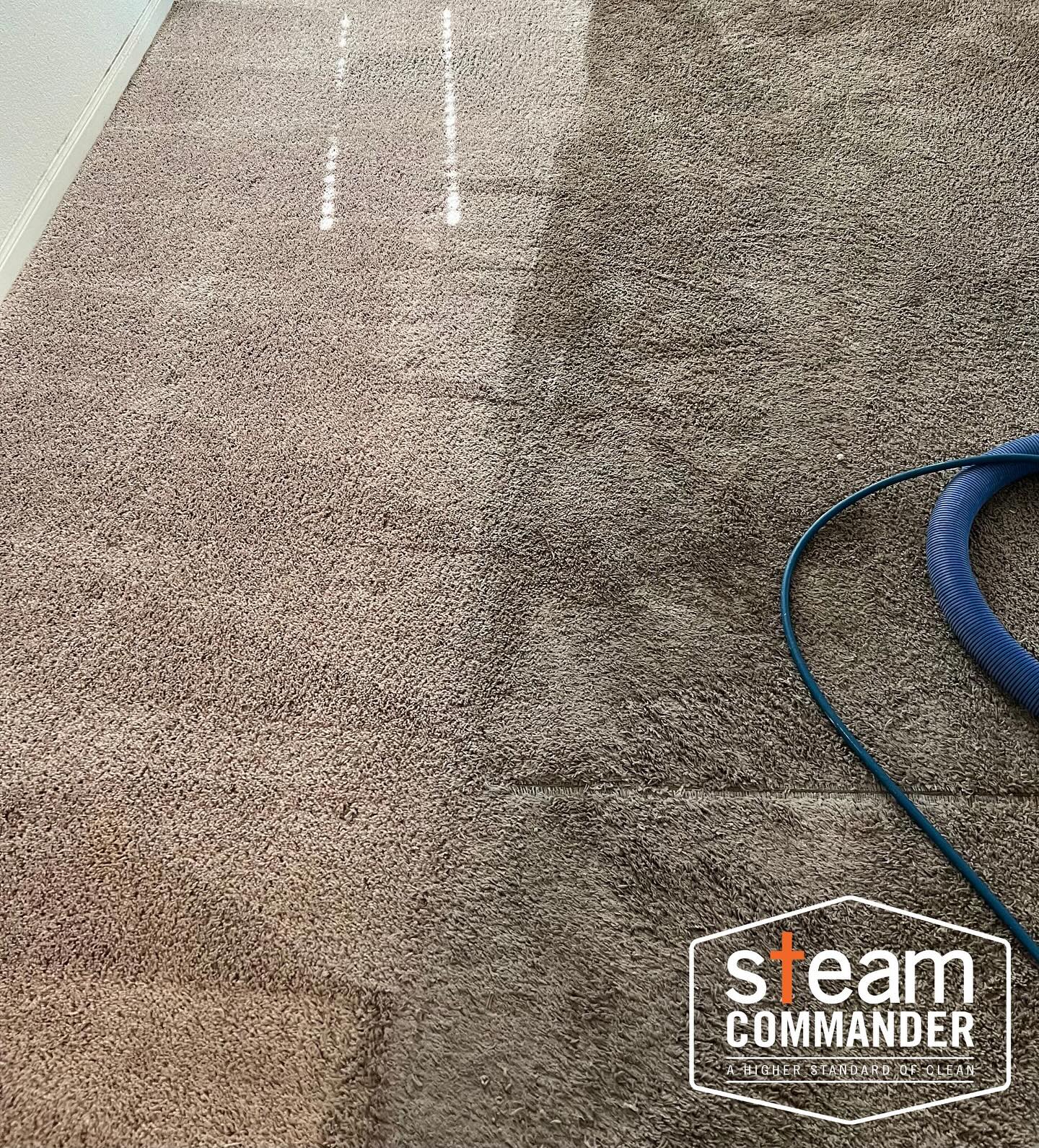 Local Carpet Cleaning From Steam Commander