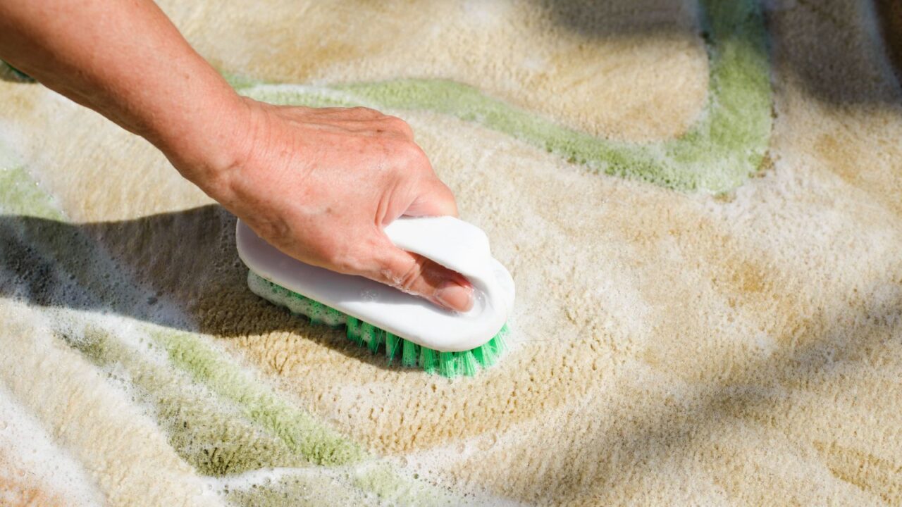 Carpet Cleaning with a Scrub Brush