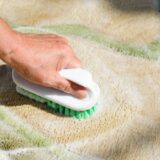 Carpet Cleaning with a Scrub Brush