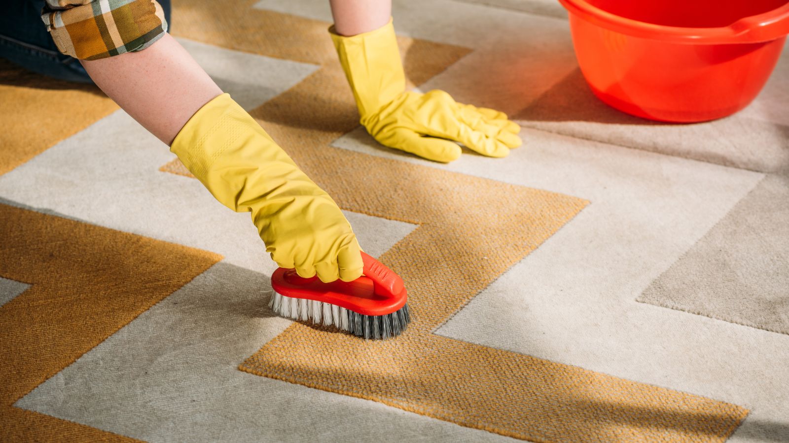 Carpet Shampooing in Houston