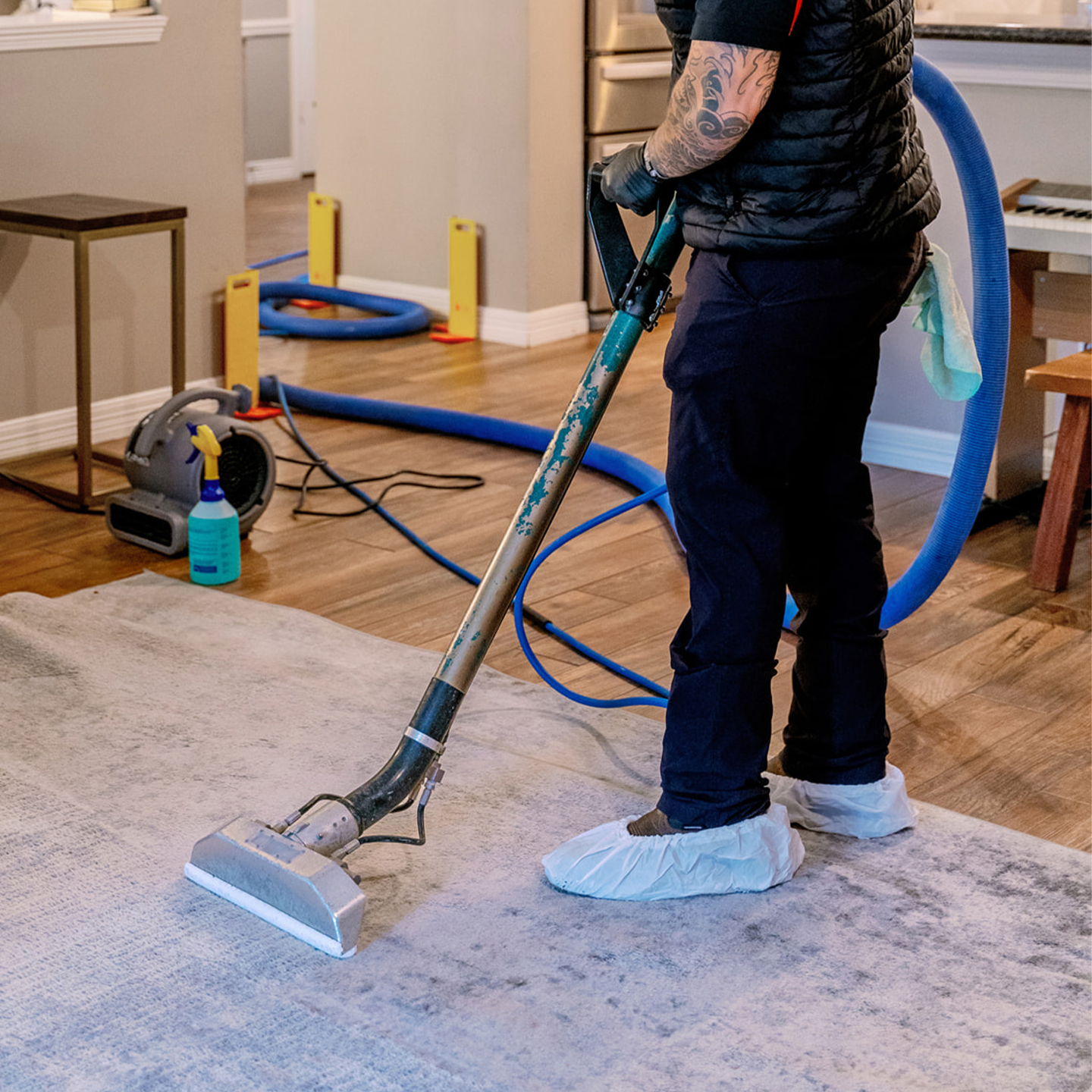 Professional Steam Cleaning Carpet in Houston