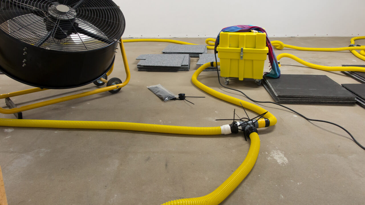 Drying Floor Under Carpet