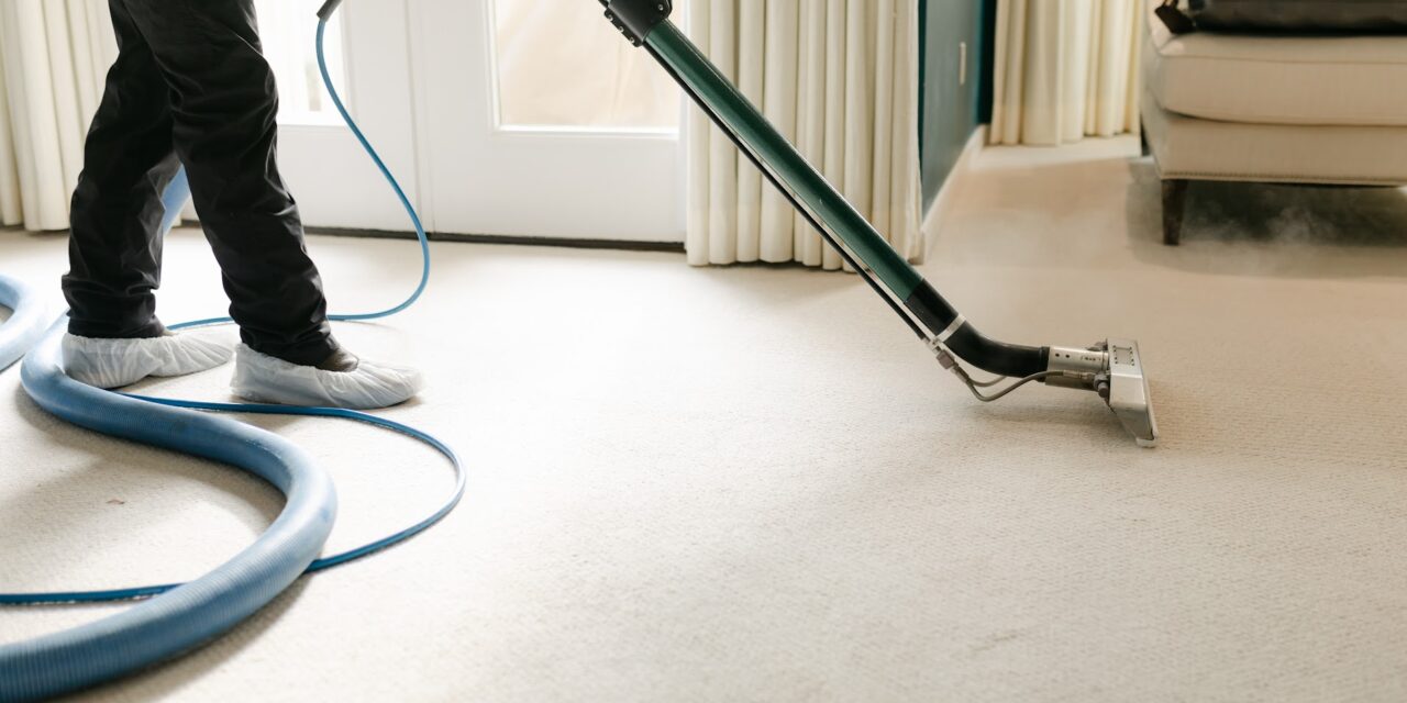 How Often Should You Steam Clean Carpets?