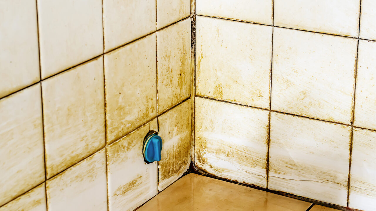 Mold and Dirty Grout