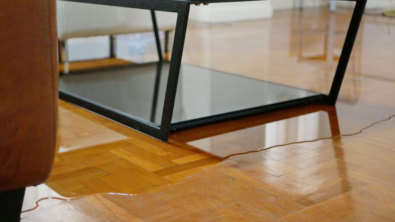 Picture of Water Damage on the Floor