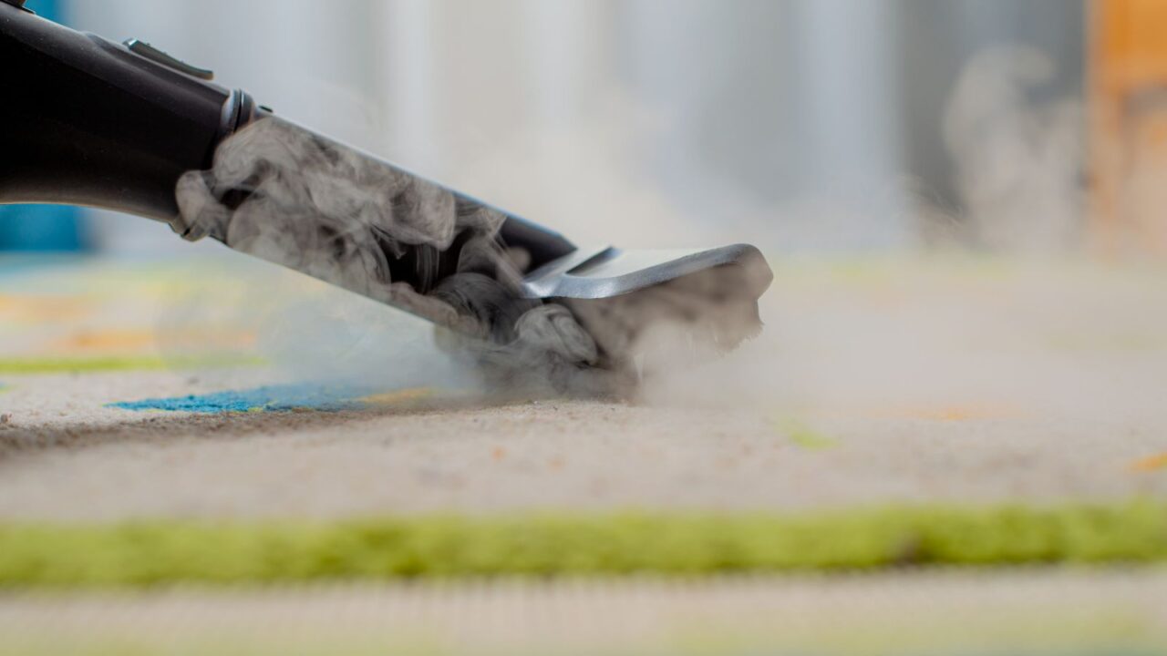 Steam Cleaning Carpet for Maintenance