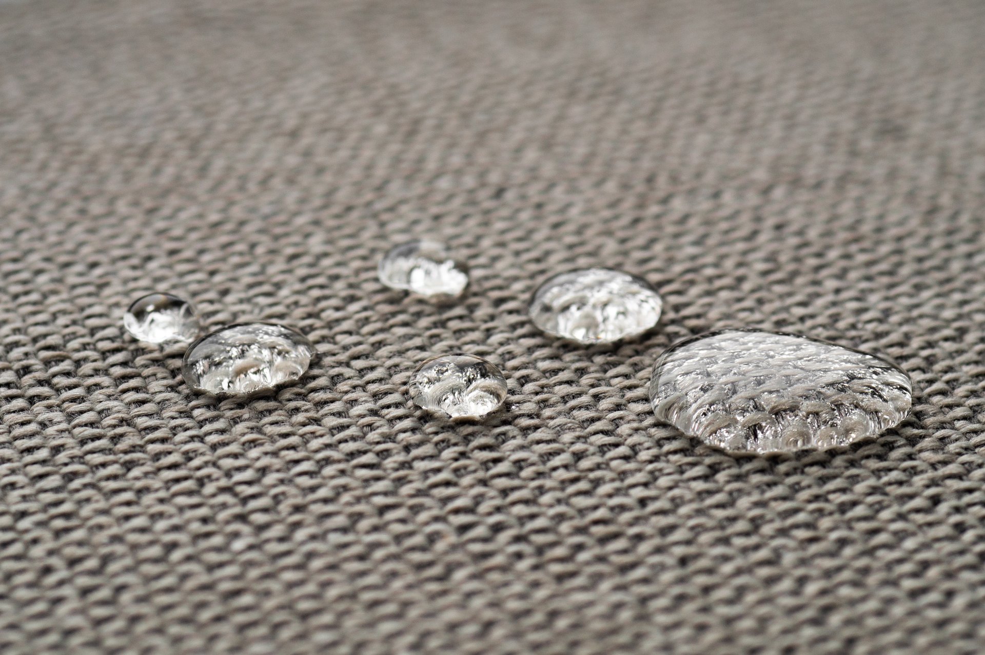 Drops of Water on a Carpet