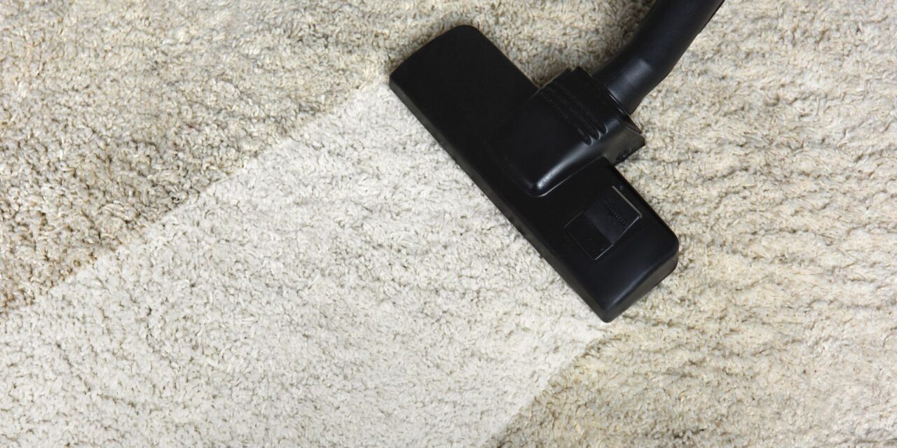 Emergency Carpet Cleaning for Businesses – What You Should Know