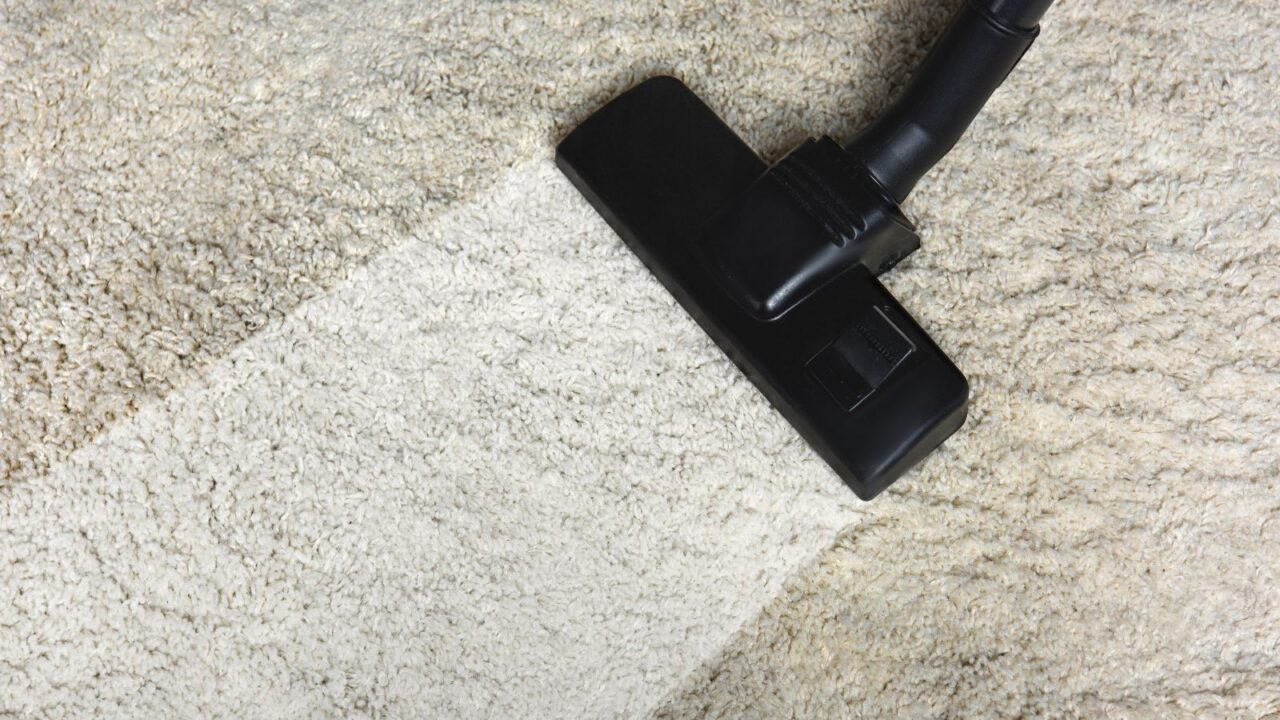 Emergency Carpet Cleaning for Businesses in Houston