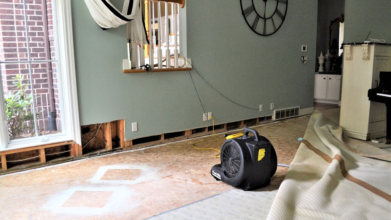 Professional Water Extraction Process