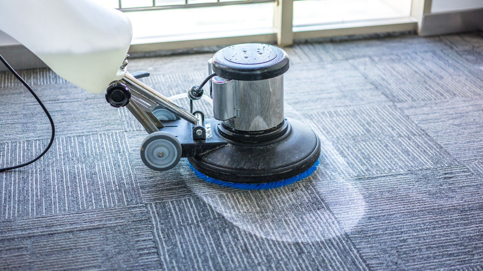 Professional Water Extraction and Carpet Cleaning Technqiues