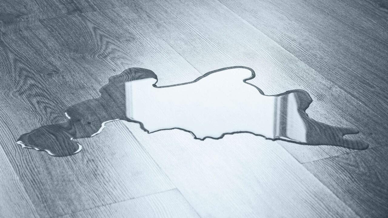 Water on a hardwood floor