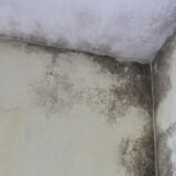 Mold in Corner of House